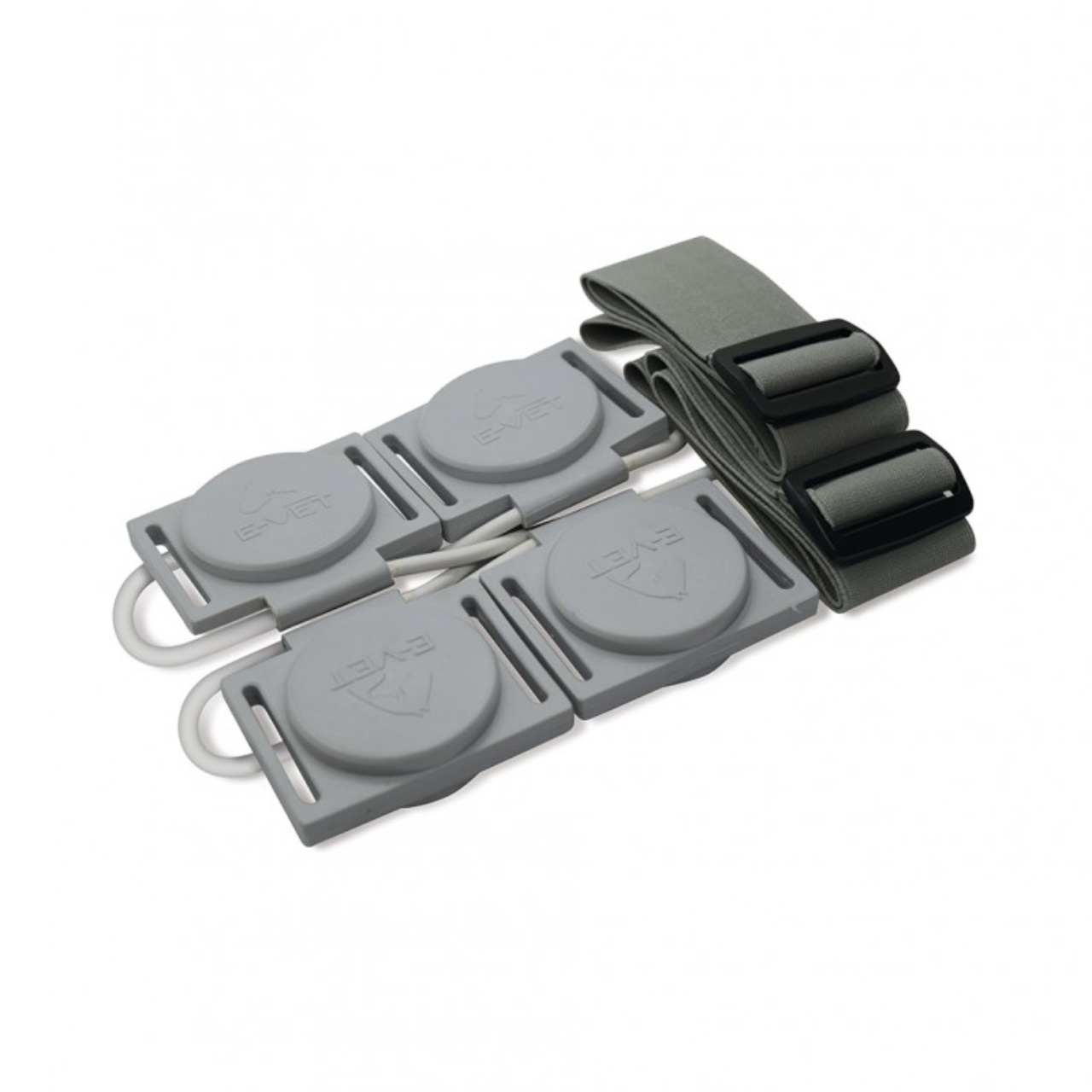 MG 200 MINI-VET - Imagen 2