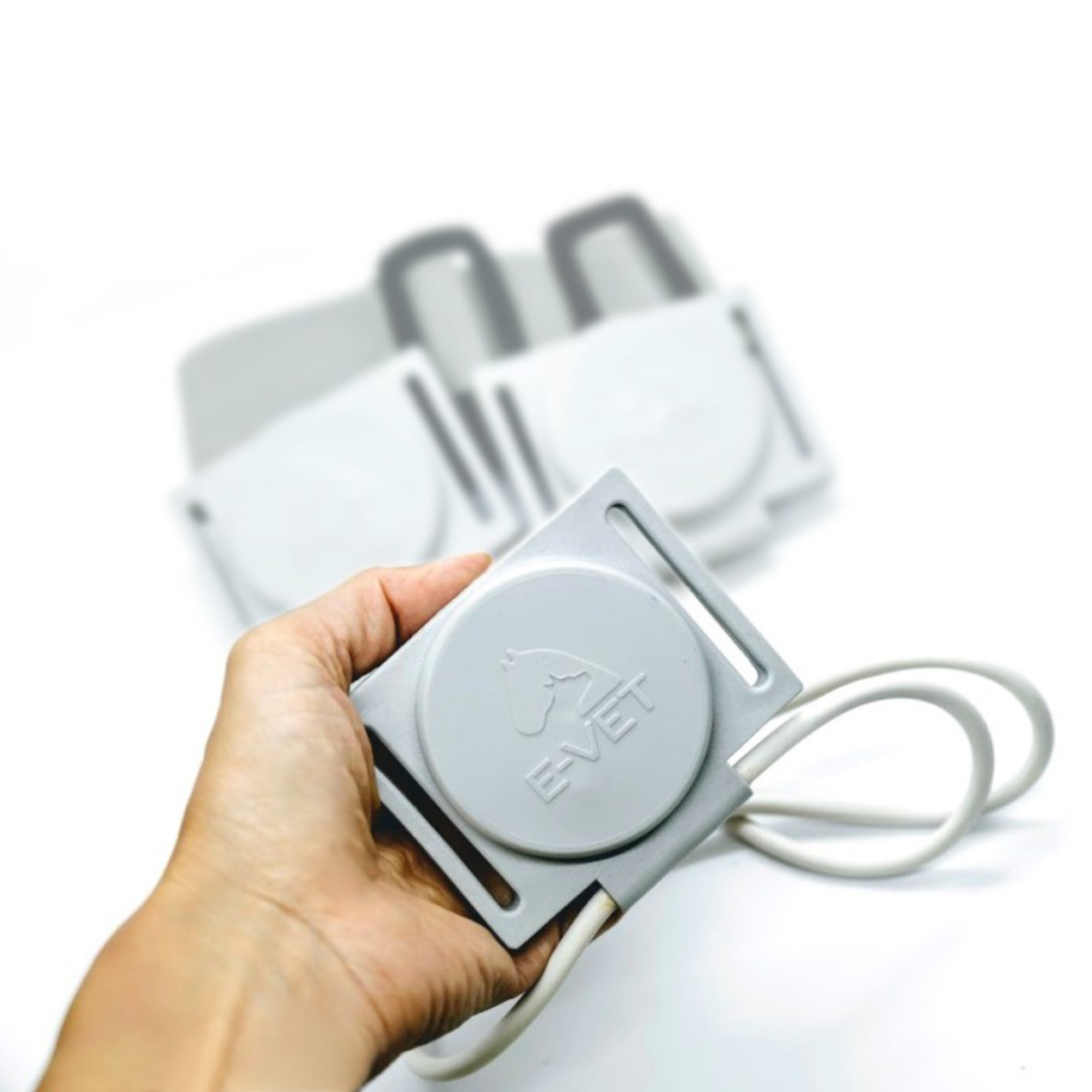 MG 200 MINI-VET - Imagen 3